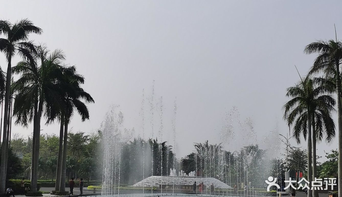 来这就是为拍照 