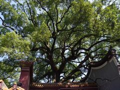 -南岳衡山风景名胜区-南岳大庙