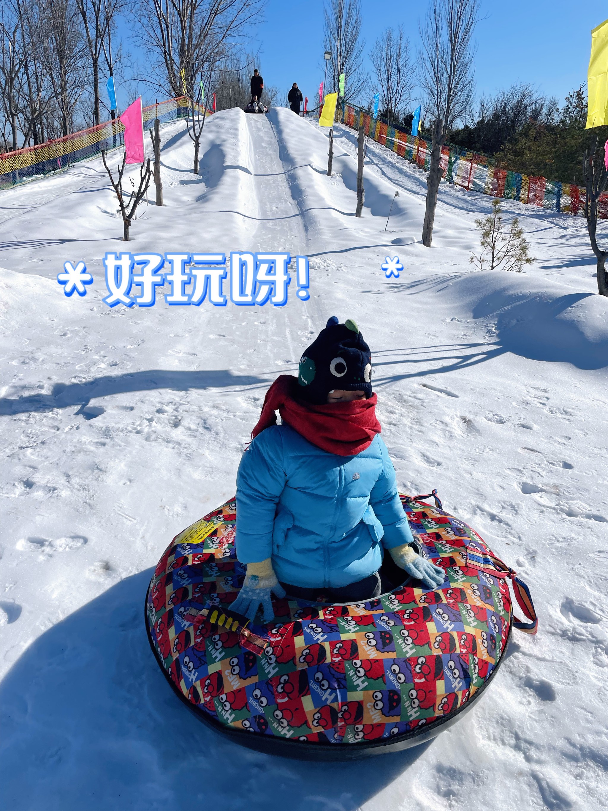 鞍山动物园冰雪嘉年华图片