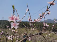 -远山有窑