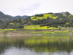-新安江山水画廊风景区