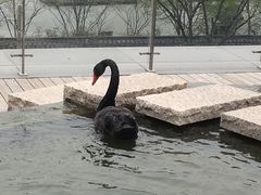 -南京圣和府邸豪华精选酒店