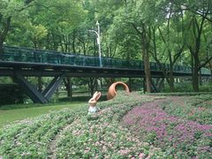 -徐家汇公园