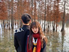 -白鹭湾湿地公园