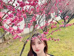 -东湖磨山景区樱花园-停车场