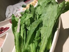 -海底捞火锅(公益西桥店)