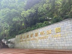 -潜山国家森林公园