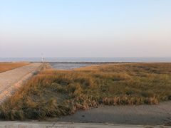 -南汇嘴观海公园