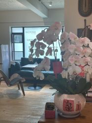 -无界瑜伽普拉提