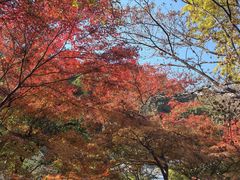 -狼山风景名胜区
