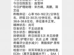 -美联众合动物医院·24h转诊中心