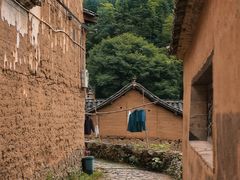 -杨家堂村