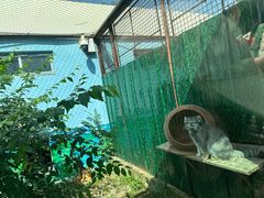 -青藏高原野生动物园