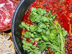 -阳阳老火锅(小南门店)