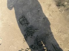 -台场海滨公园船码头