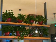 -比格比萨自助(国展店)