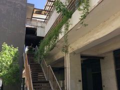 -世东国际