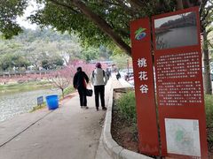 -南国桃园旅游度假区