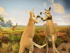 -陕西自然博物馆