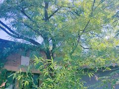 -米椰湘·辣椒炒肉