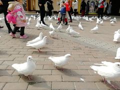 -王府井奥莱临潼小镇(临潼店)