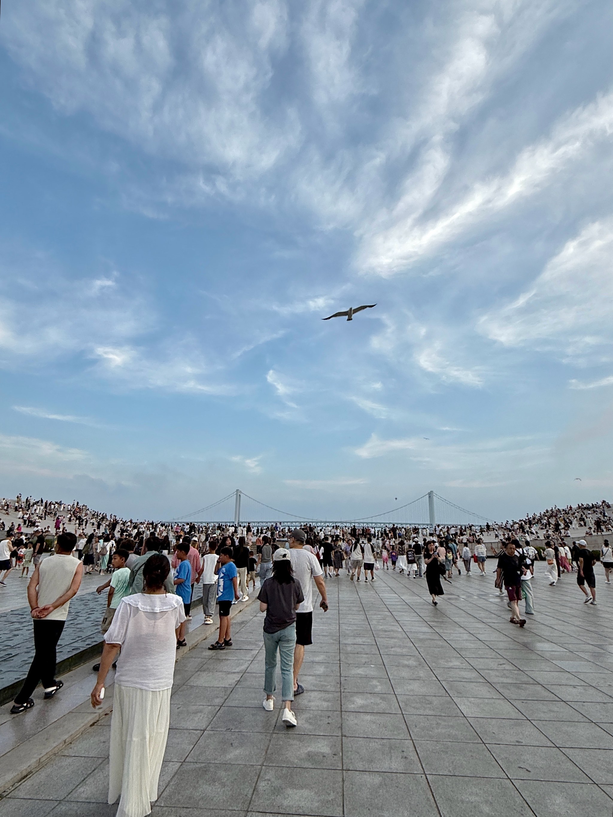 预计大连星海广场每天得有一亿人