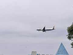 -空港花田景区
