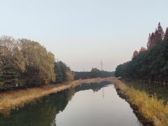 -昆山城市生态森林公园