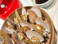清蒸活扇贝-山海菜馆·海肠捞饭·青岛菜(栈桥店)