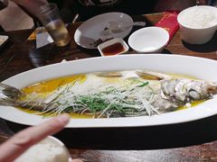 清蒸太湖白鱼-金枝玉叶上海人家食府(三里河店)