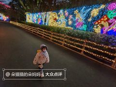 -灵玲国际马戏城
