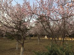 -长春世界雕塑园冰雪艺术天地