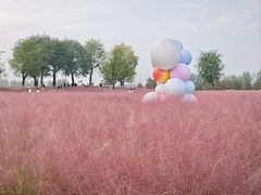 -汉长安城未央宫国家考古遗址公园