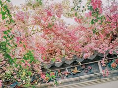 -深圳国际园林花卉博览园