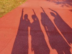 -春花秋色城市公园