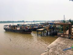 -南沙十九涌渔人码头-南门