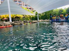 -新加坡水上探险乐园