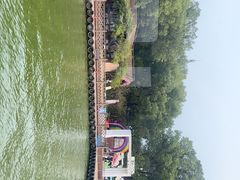 -金鸡湖桃花岛