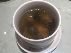 -南枝记