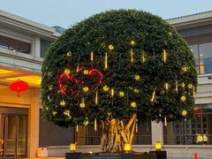-成都安仁福朋喜来登酒店