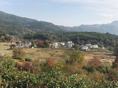 -塔川景区