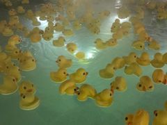 -苏州湾王焰温泉度假酒店