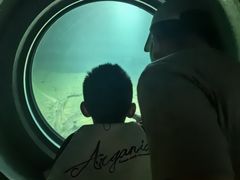 -白鹤梁水下博物馆