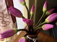 -森野花艺培训·企业团建活动沙龙