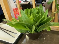 -芭夯兔·兔肉汤锅(新都店)