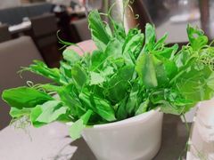-海底捞火锅(步步高新天地店)