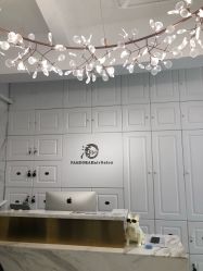-潘多拉Hairsalon