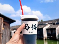 -乌镇东栅景区