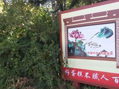 -府君山公园