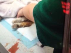 盛京一禾-盛京一禾